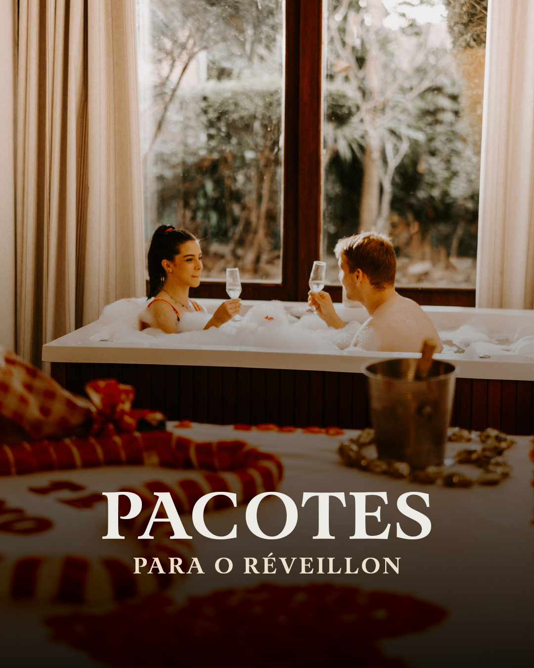 pacotes (2)