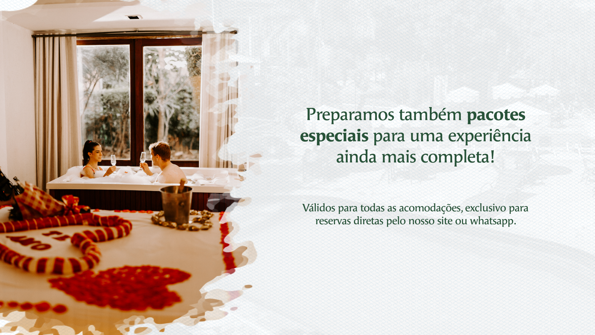 Pacotes 1
